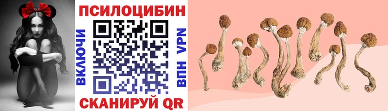 Галлюциногенные грибы MAGIC MUSHROOMS  Железногорск-Илимский 